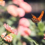 美高美平台的最新活动与优惠,助你赢取丰厚奖金 1w42c