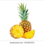 CBA台湾直播录像:精彩对决全程回放 64w55ixtl0