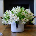 BTV青年频道直播精彩内容不容错过 e9oezg