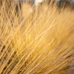 美高梅赌博数字化转型对客户体验和营销策略的影响 e9ogr9l