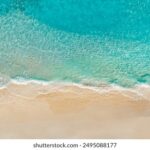 《勇士》电影高清完整版在线直播观看 8r51ht09ei