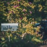 《剃刀边缘》东方卫视震撼直播,剧情高潮迭起 b6888nbml8