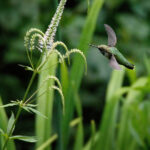 《勇士的荣耀》今晚震撼直播,巅峰对决一触即发 y9spladu1